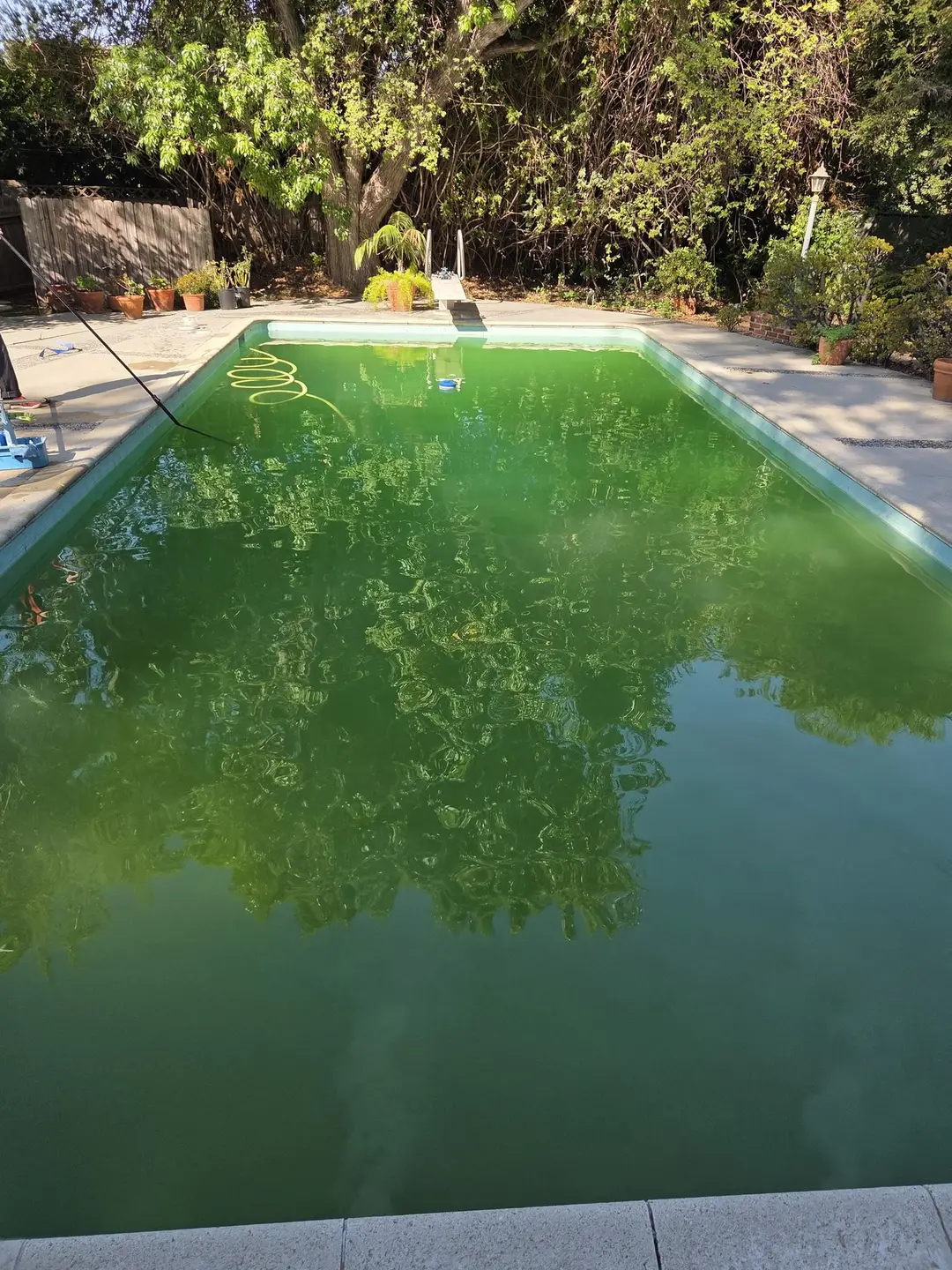 Backyard pool before Blue Ripple pool recovery service