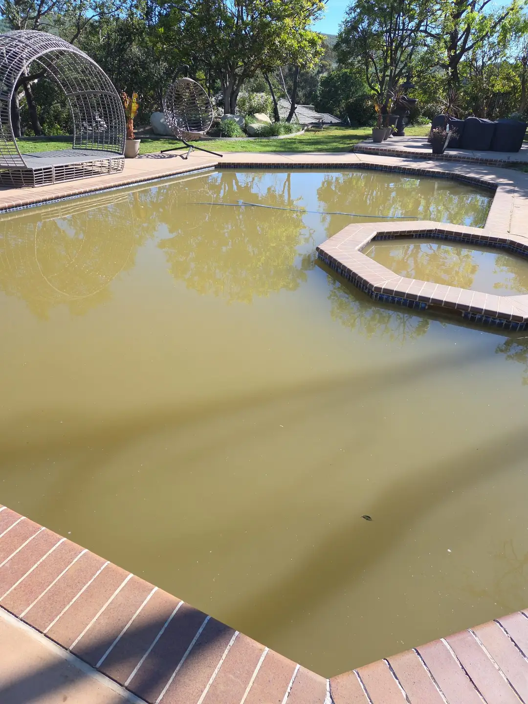 Mud-colored pool before Blue Ripple clean-up service