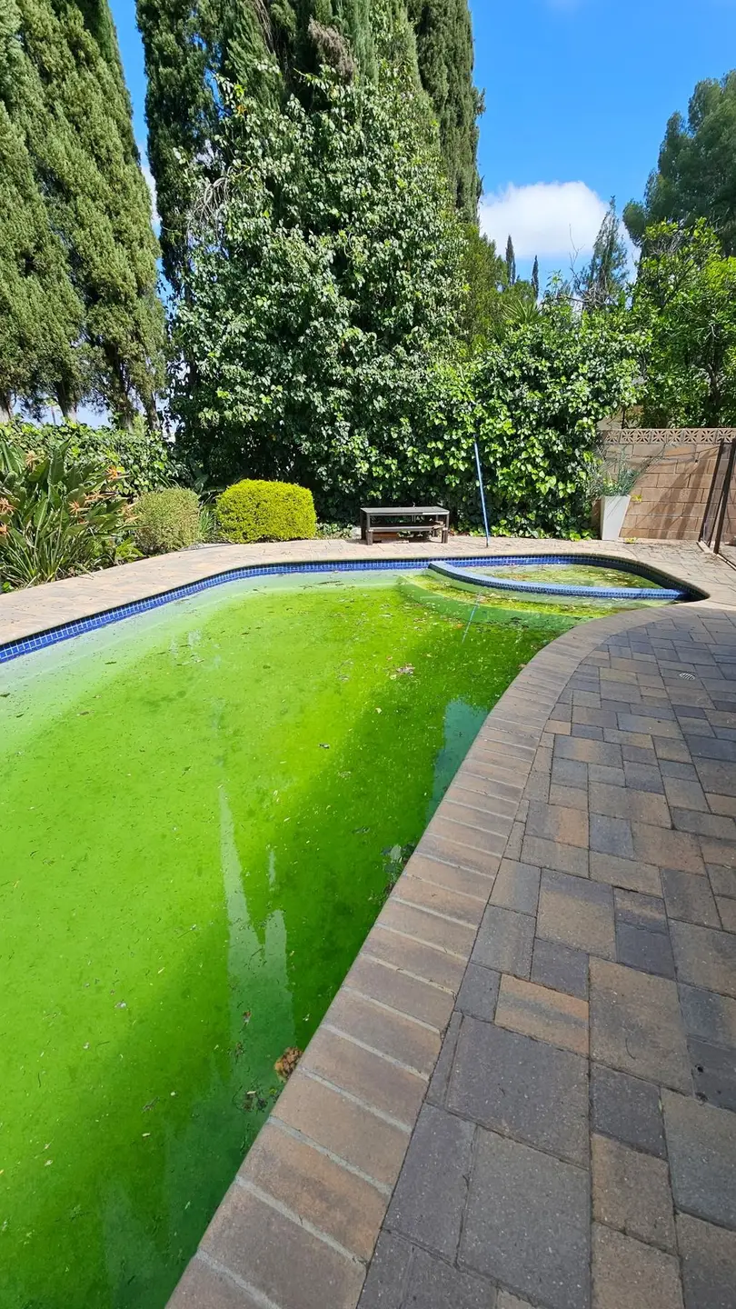 Green pool before Blue Ripple green-to-clean recovery
